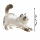 Llaveros Kawaii - Caja Portátil para Guardar Pelo de Gato, Acrílico Transparente con Forma de Animal