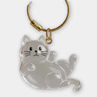 Bag Charm Llavero Cápsula Transparente para Bolso - Guarda el Pelo de tu Gato, Recuerdo Adorable