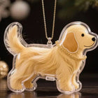 Llavero para Bolso con Cápsula de Mascota - Charm Adorable para Amantes de Perros y Gatos