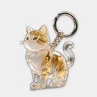 Bag Charm Llavero Gato para Guardar Pelo de Mascota - Recuerdo Transparente Premium