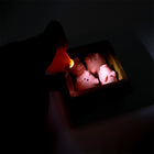 Llavero de Cerdo Rosa con Luz LED