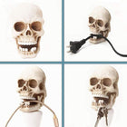 Llavero de Pared Calavera