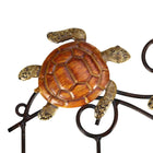 Perchero de Pared Tortuga