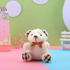 Llavero de Osito de Peluche