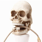 Llavero de Pared Calavera