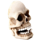 Llavero de Pared Calavera