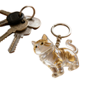 Bag Charm Llavero Gato para Guardar Pelo de Mascota - Recuerdo Transparente Premium