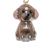 Llavero para Bolso con Cápsula de Mascota - Charm Adorable para Amantes de Perros y Gatos