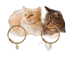 Llavero para Bolso de Acrílico Transparente con Cápsula para Pelo de Gato - Charm Portátil y Elegant