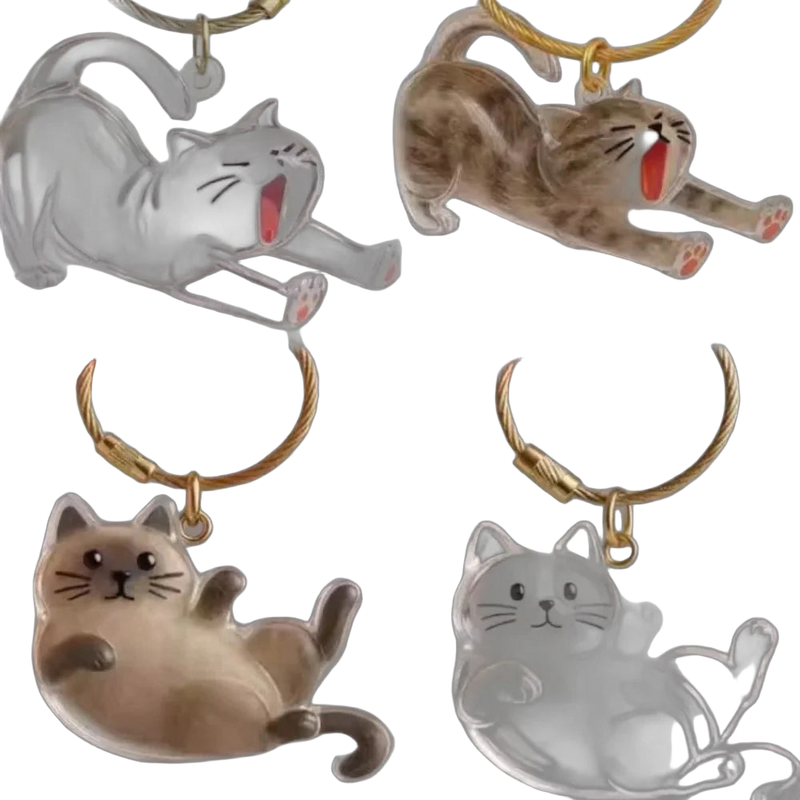 Bag Charm Llavero Cápsula Transparente para Bolso - Guarda el Pelo de tu Gato, Recuerdo Adorable