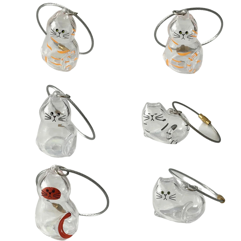 Llavero con peluche para guardar pelo de mascota - Transparente y portátil