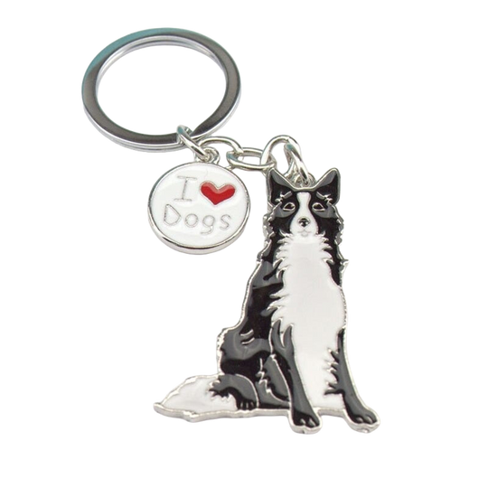 Llavero de Border Collie