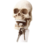 Llavero de Pared Calavera