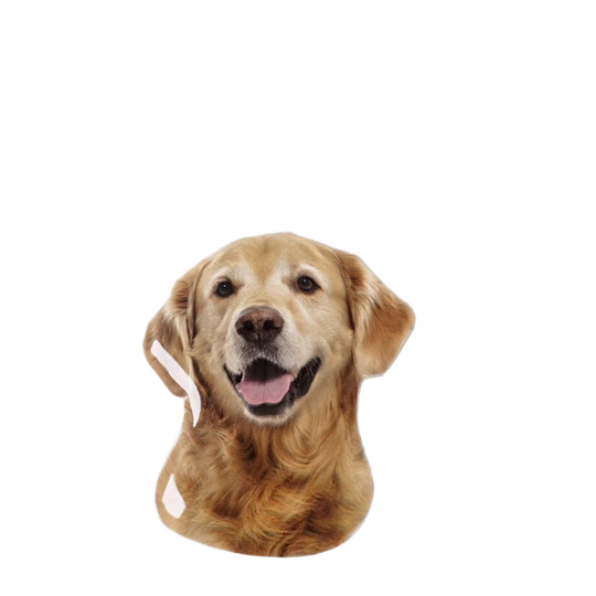 Llavero Personalizado de Perro