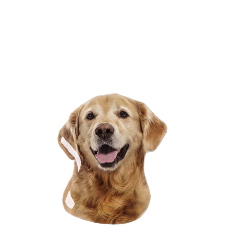 Llavero Personalizado de Perro